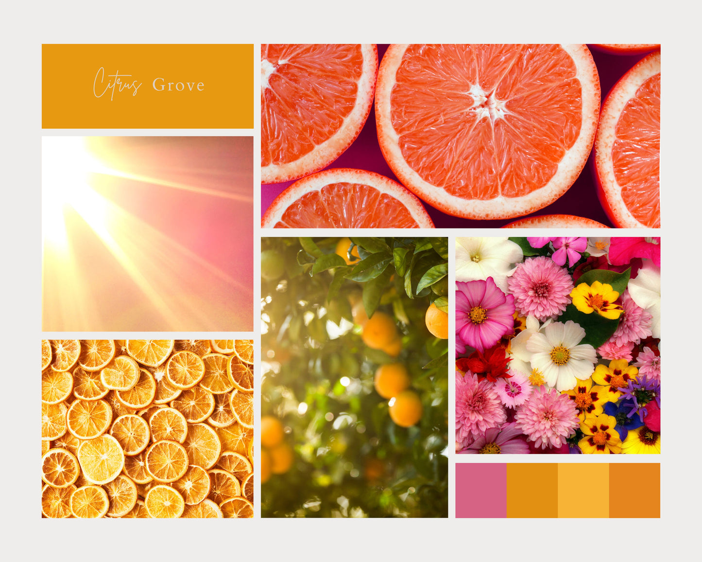 Collage of images to show the scents of our Non-Toxic, Phthalate Free, Soy Candle 8oz Citrus Grove