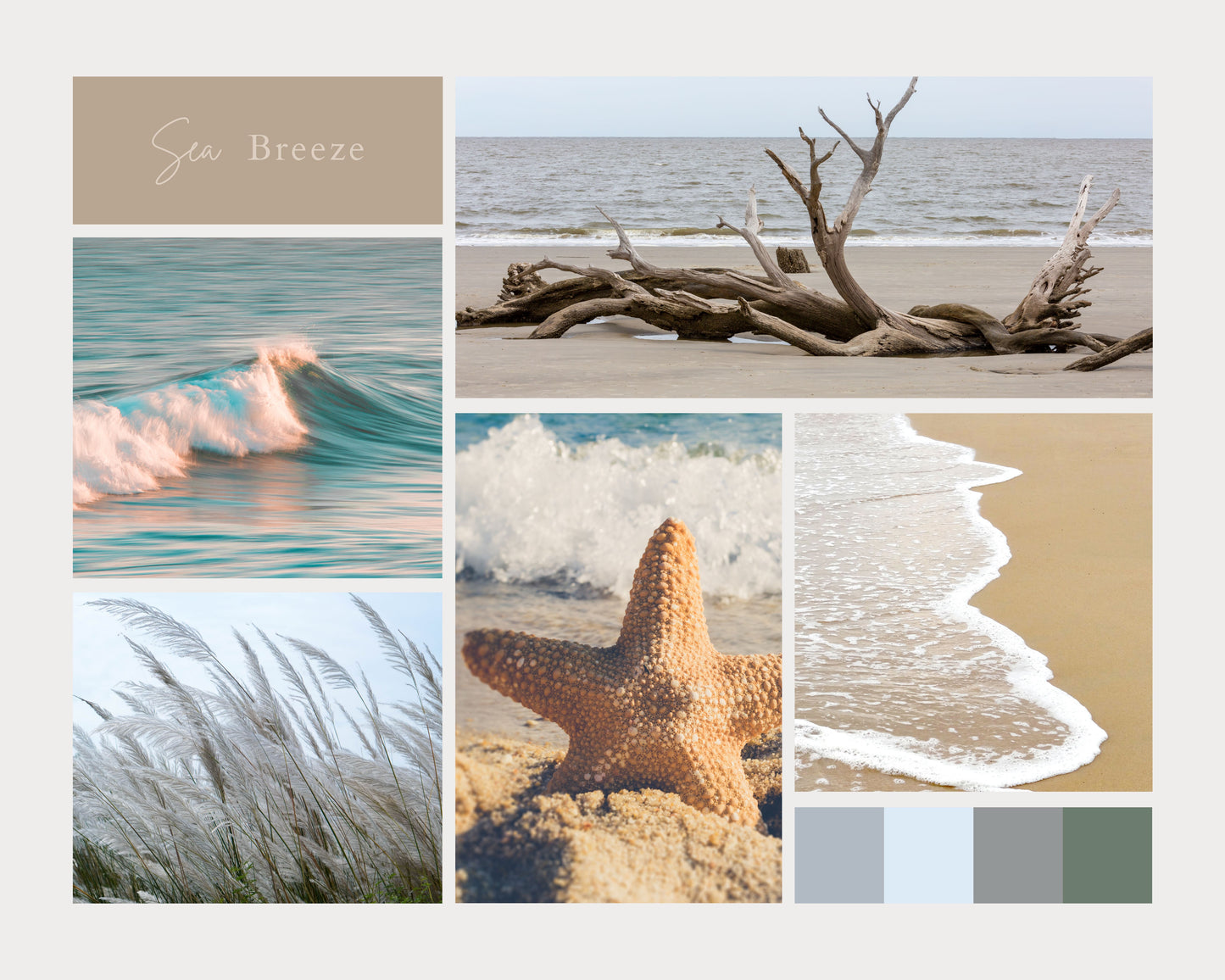 Collage of images to show the scents of our Sea Breeze Non-Toxic, Phthalate Free, Soy Candles and Wax Melts