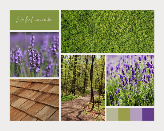 Collage of lavender fields and woods to show the scents of our Non-Toxic, Phthalate Free, Woodland Lavender Soy Candle