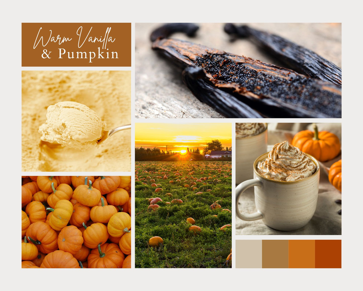 Collage of images related to warm vanilla and pumpkin theme, including vanilla beans, ice cream, pumpkins, and a sunset.