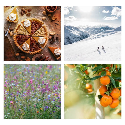 Seasonal Collage 