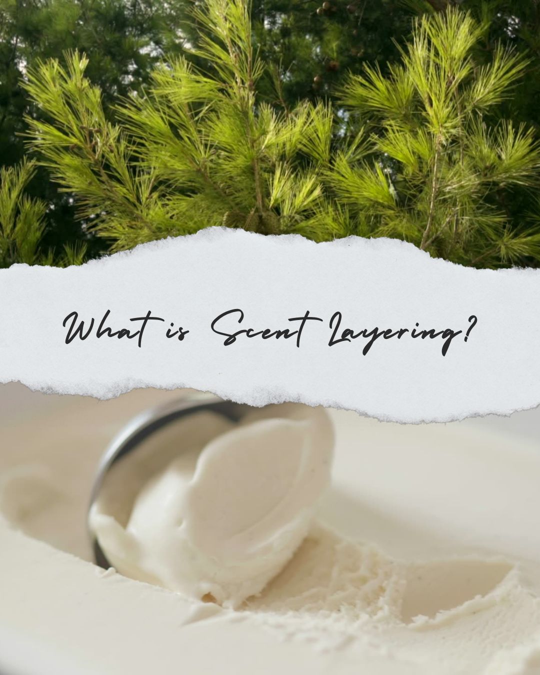 What is scent layering image