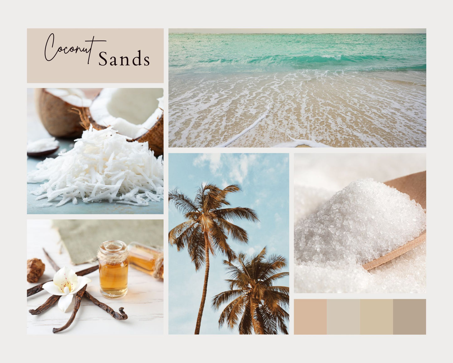 Coconut Sands Scent Profile Card
