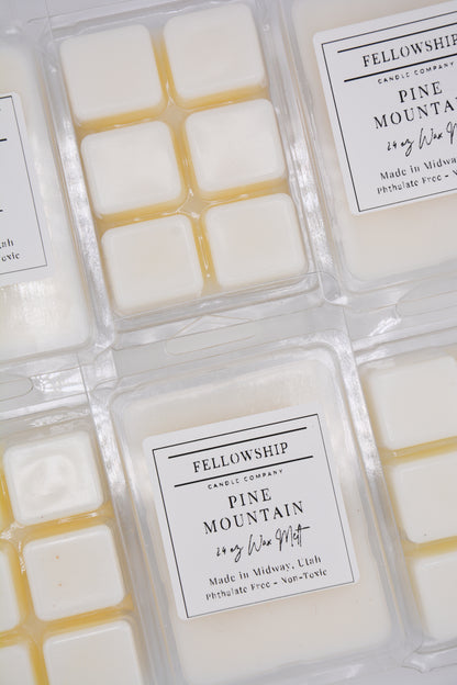 Packaged wax melts with 'Fellowship Candle Company' labels on a neutral background