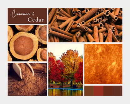 Collage of cinnamon sticks, wooden logs, ground cinnamon, and autumn trees with a color swatch labeled 'Cinnamon & Cedar'.